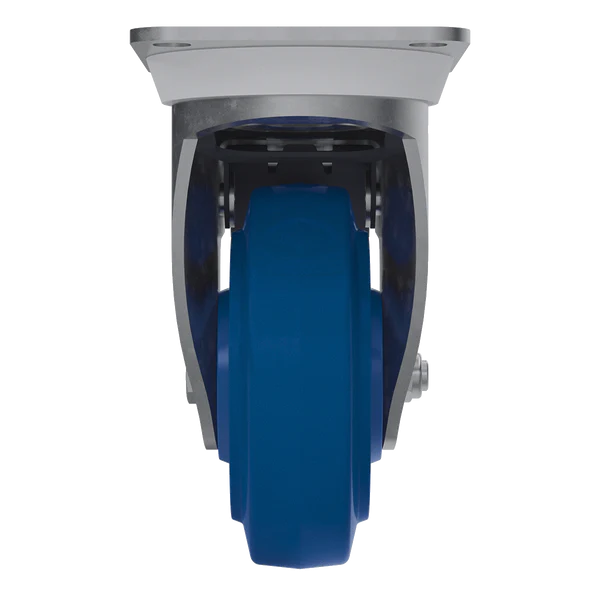 Roue bleu 4&Prime; avec frein